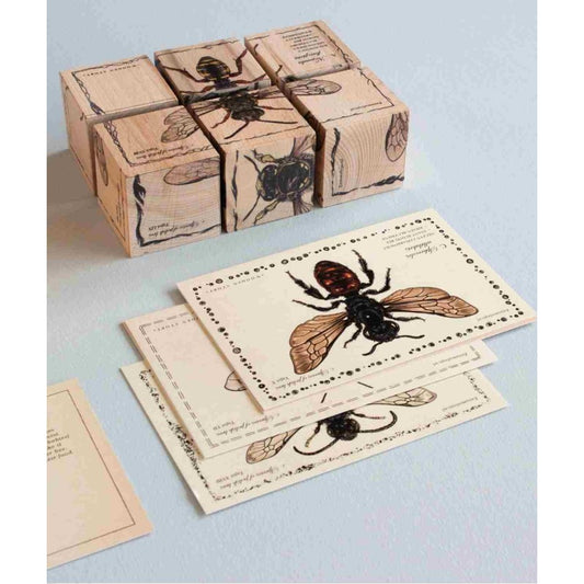 Obrázkové dřevěné kostky Wooden Story Život včel s druhy včel a sáčkem semínek – pohled 2