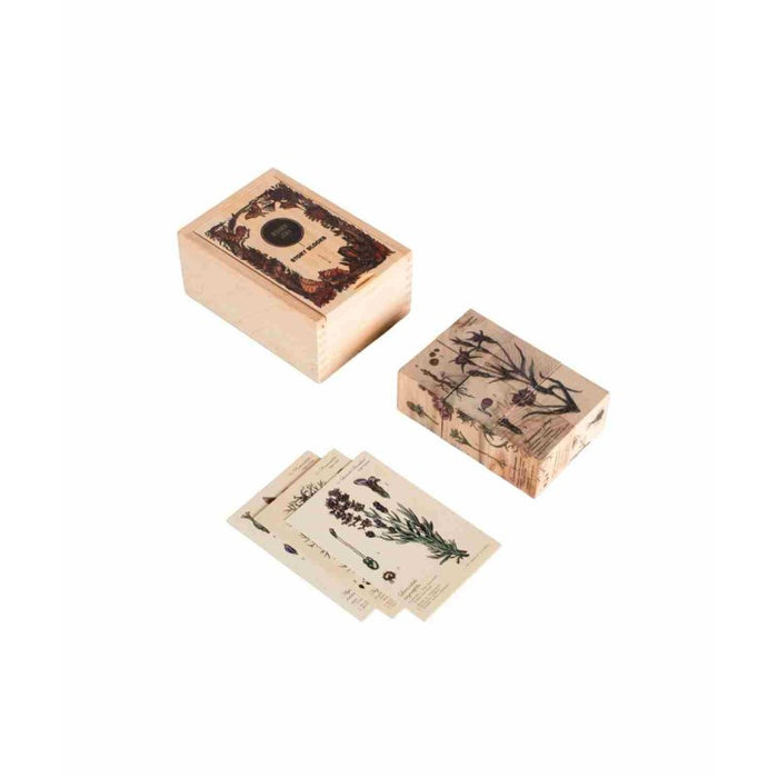 Obrázkové kostky Wooden Story – Život včel, medonosné rostliny