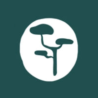 Představujeme značku One Little Pine – nábytek, který roste s dětmi