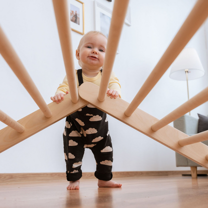Piklerův trojúhelník SIPITRI® – 2 segmenty
