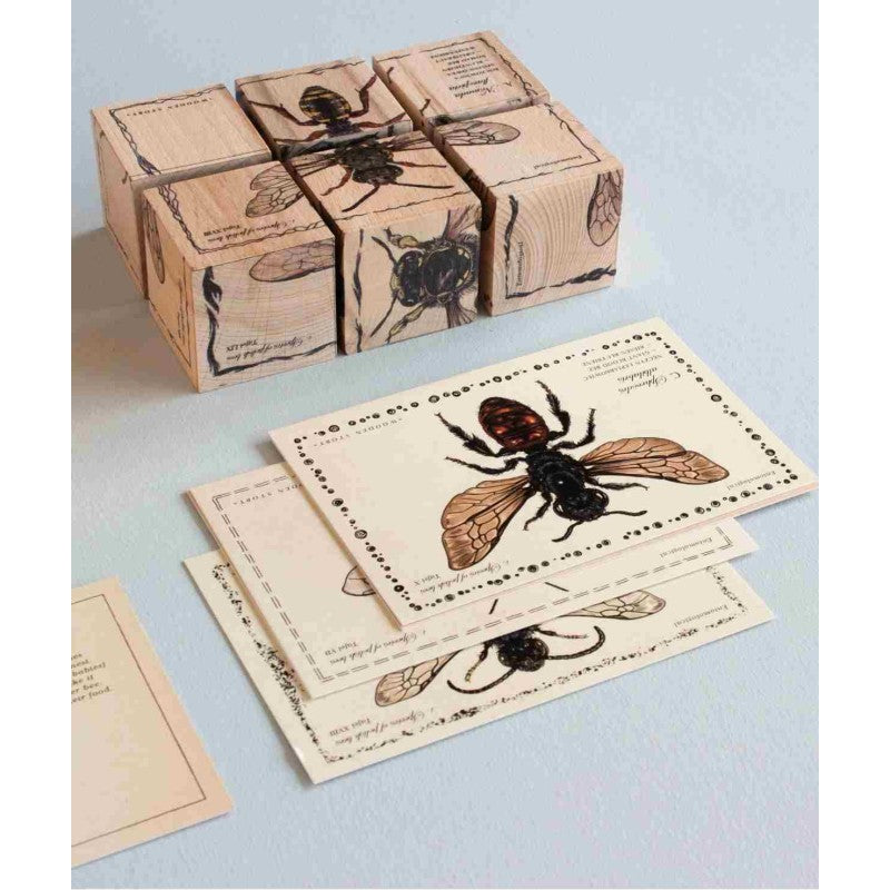Obrázkové dřevěné kostky Wooden Story Život včel s druhy včel a sáčkem semínek – pohled 2