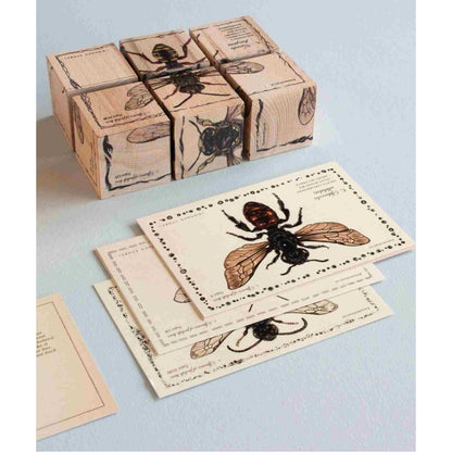 Obrázkové dřevěné kostky Wooden Story Život včel s druhy včel a sáčkem semínek – pohled 2