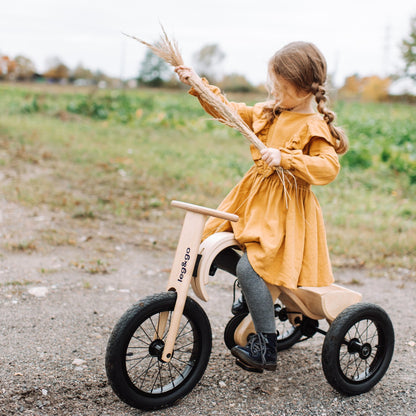 Tricycle doplněk pro odrážedlo leg&go 3v1