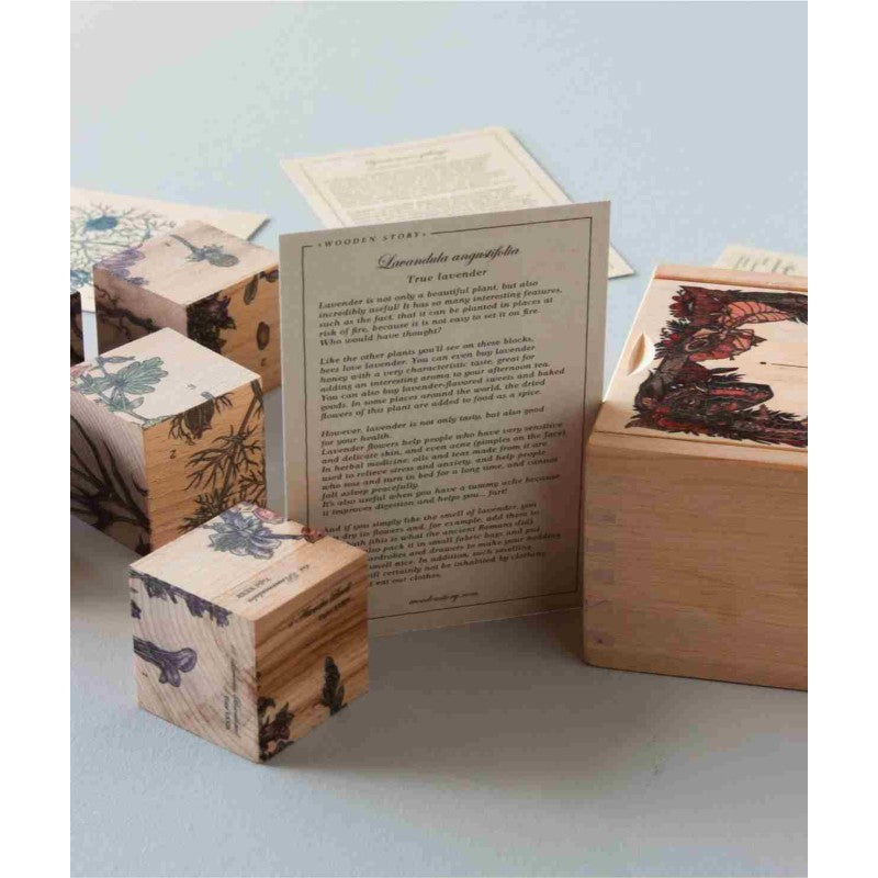 Obrázkové dřevěné kostky Wooden Story Život včel s medonosnými rostlinami a semínky – pohled 3